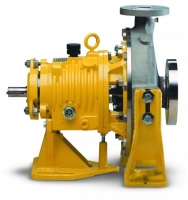 System One Process Pumps