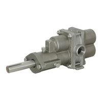 ECO Rotary Gear Pumps