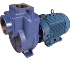 Self Priming Pumps